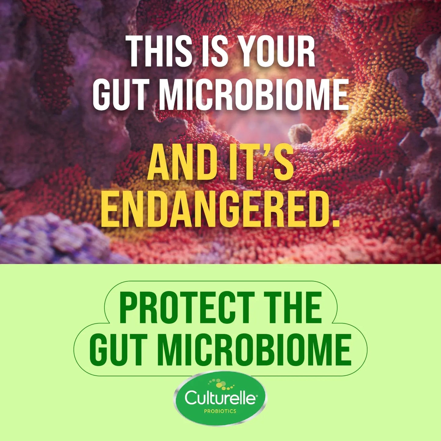 Culturelle® Bloating & Gas Defense Capsules